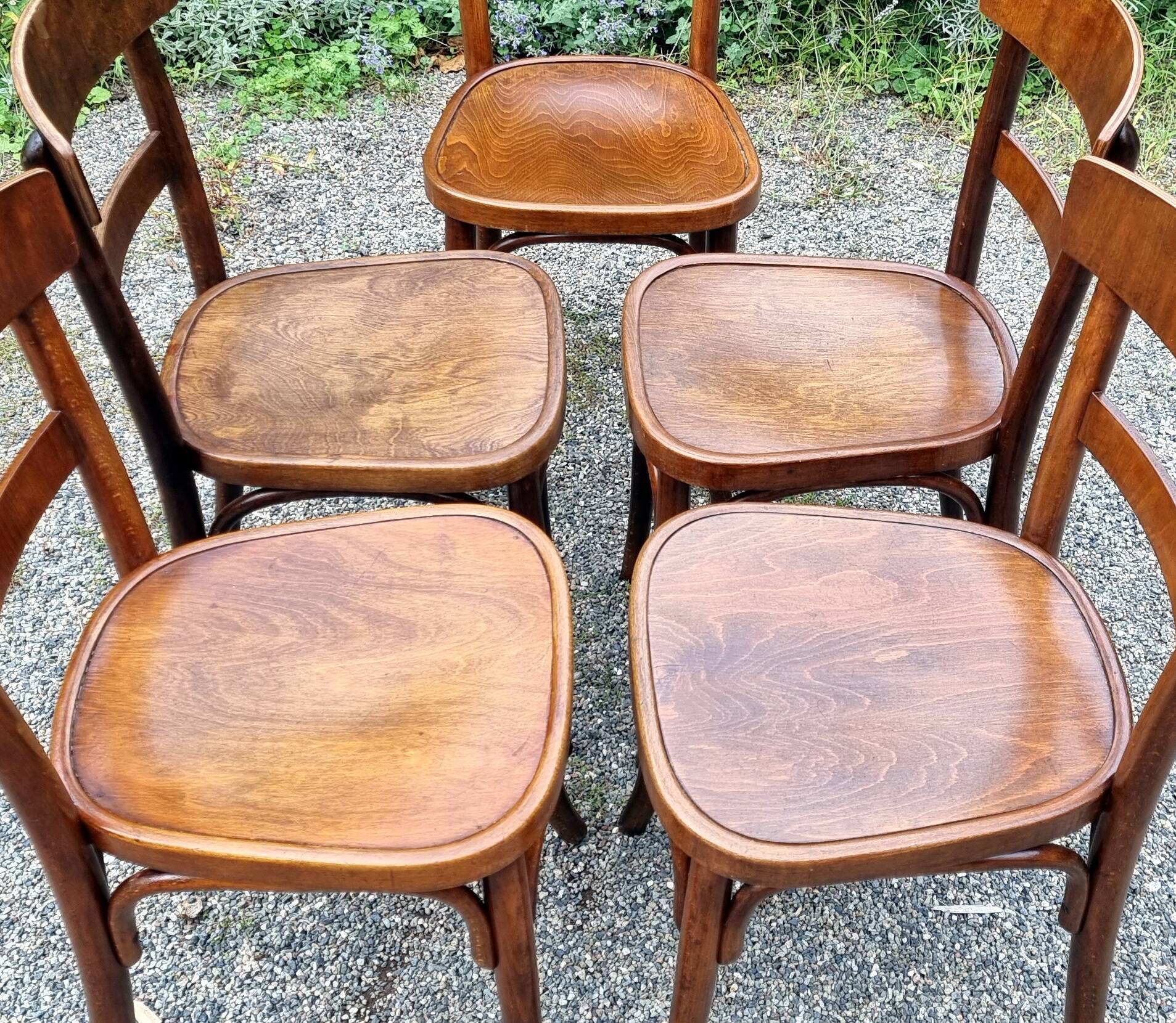 5 chaises bistrot Thonet et Horgen années 40