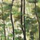 Gouache watercolor on paper by guy riou sous bois 1952 frame ceruse