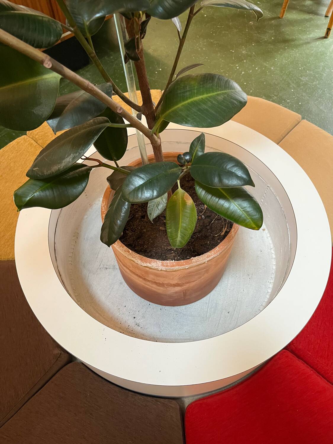 1970s garden bench made by Roche Bobois in Formica