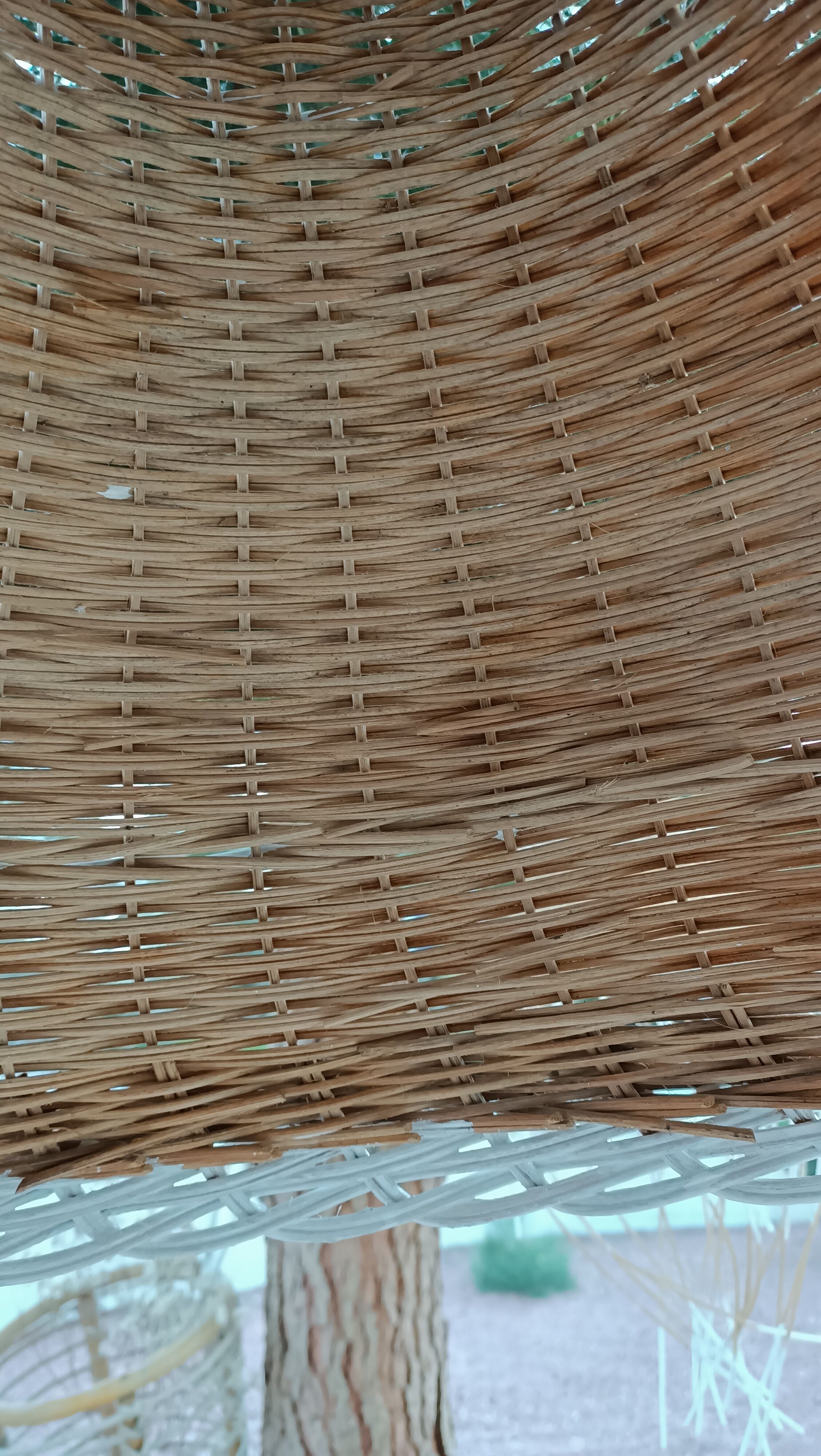 Duo of rattan hanging lamps