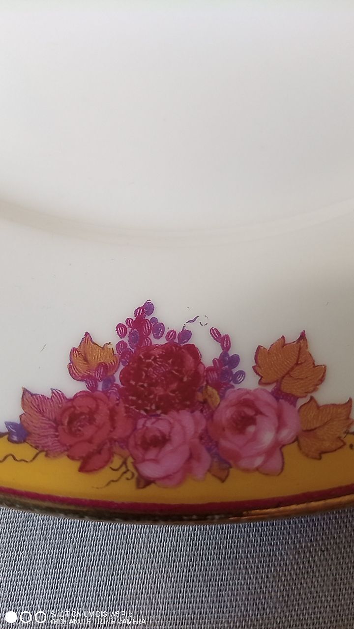 Limoges porcelain by André François (1919-1934) - 12 plates + 1 dish