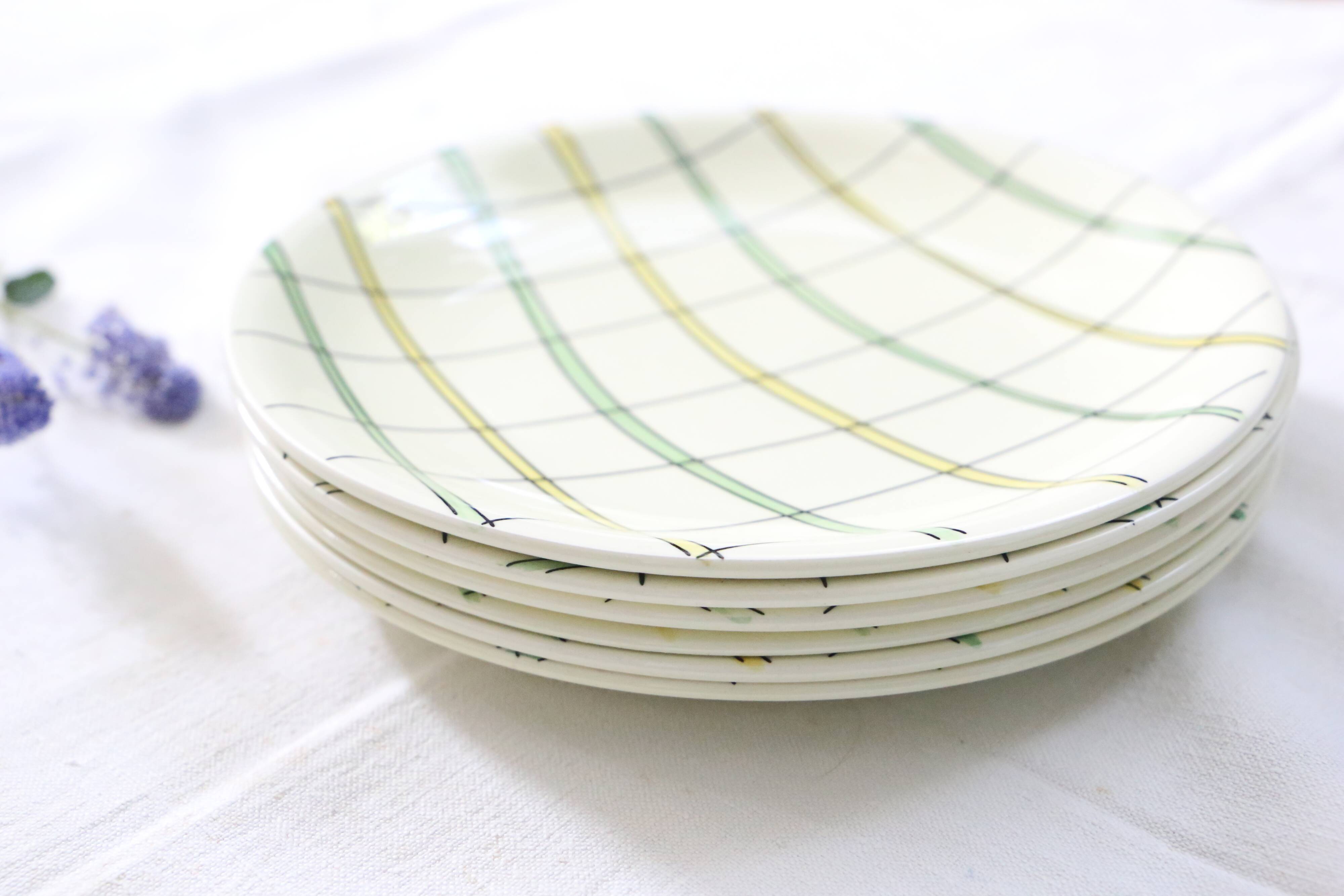 Set of 6 flat plates Salins, Yves pattern, vintage French