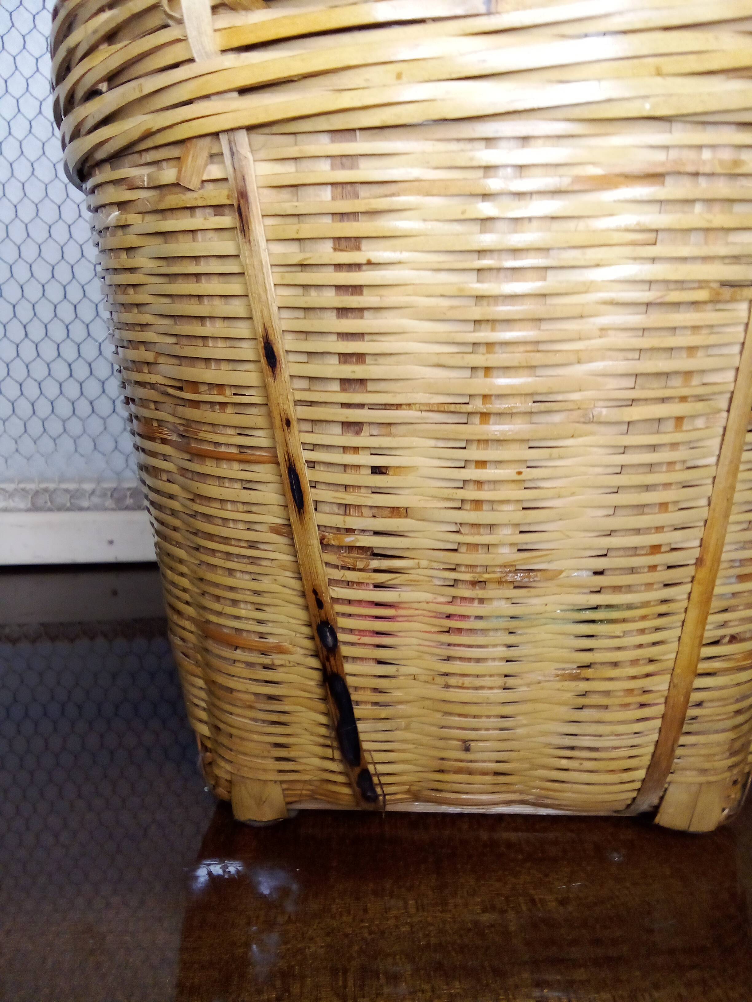 Vintage wicker plant pot