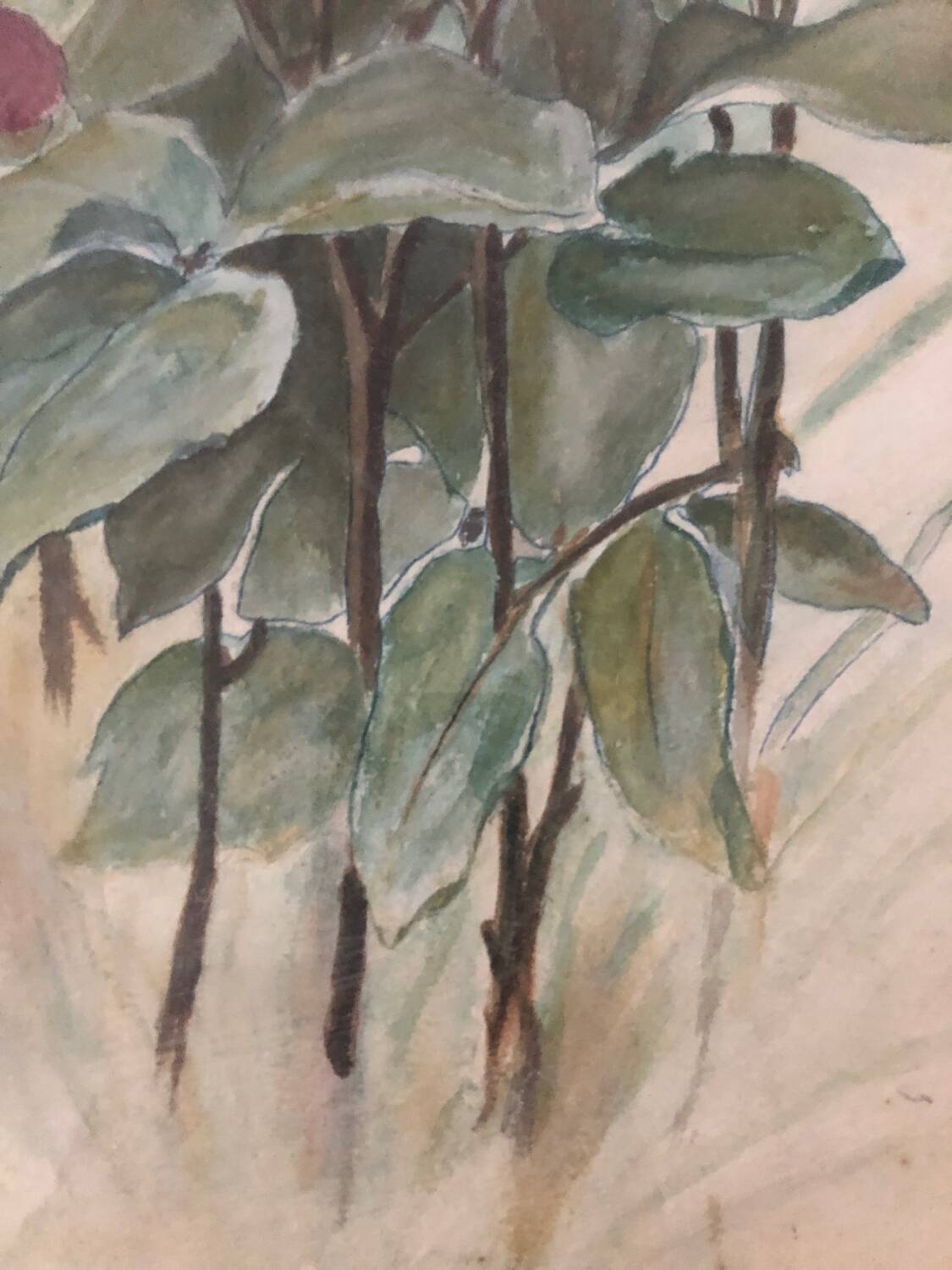 Ancienne aquarelle de 1908 bouquet de roses signée Le Sauce