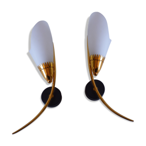 Paire d'appliques arlus