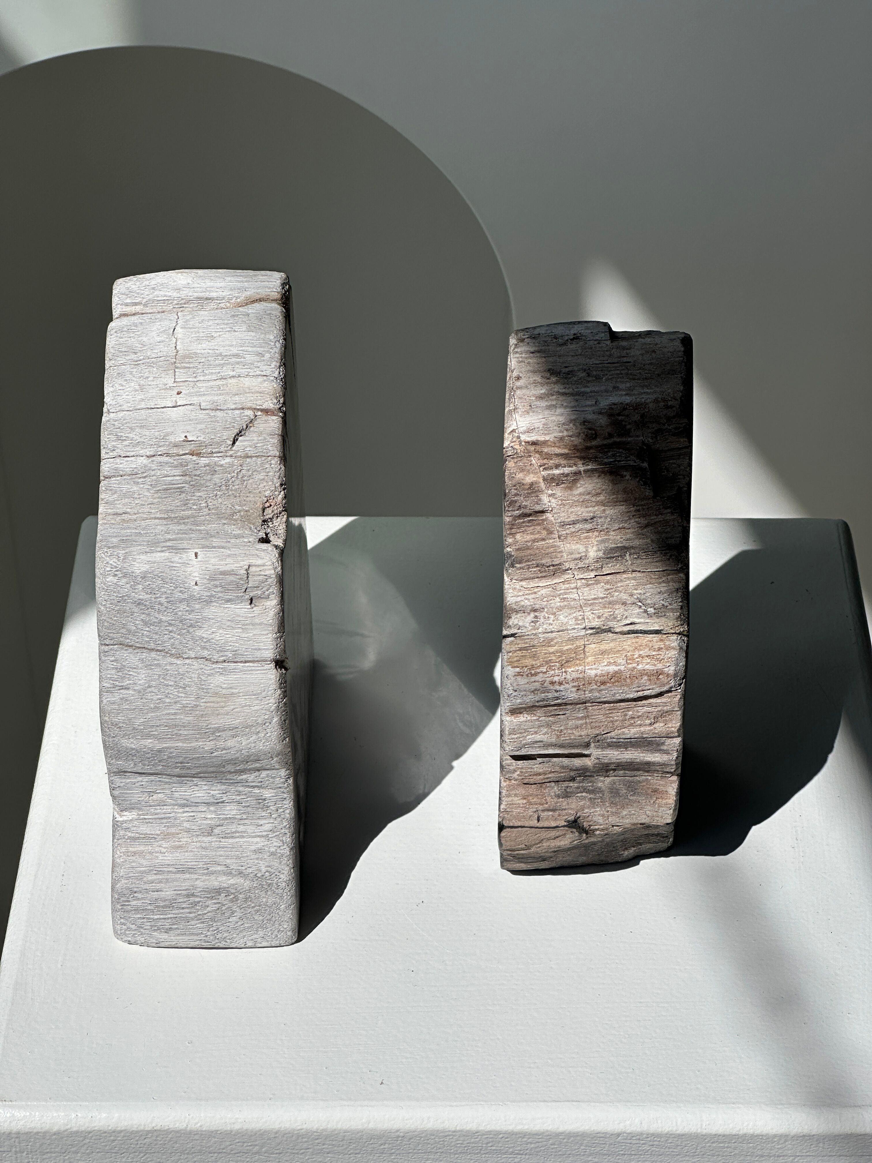 Black petrified wood bookend H17 L17 P6