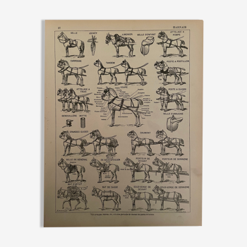 Lithographie gravure sur les harnais de chevaux de 1897
