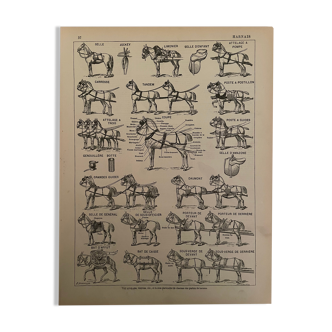 Lithographie gravure sur les harnais de chevaux de 1897