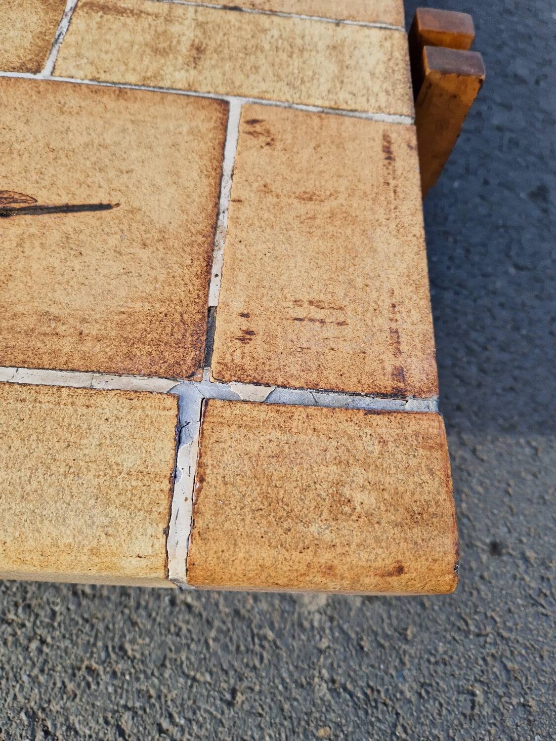 Vintage coffee table by Roger Capron, herbarium model