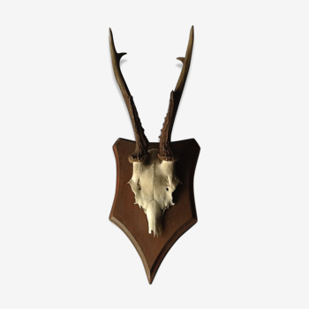 Deer wood trophy