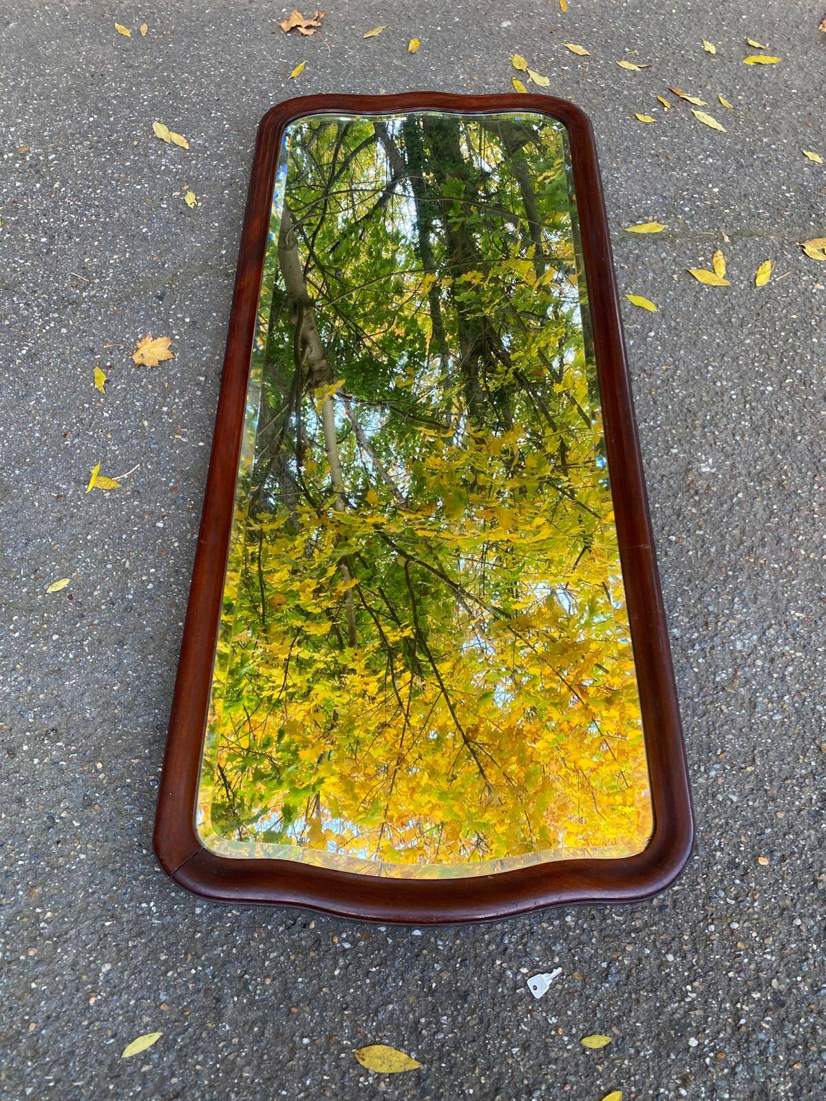 19th century solid mahogany mirror, 58x135cm