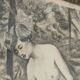 Fusain Femme nue estampe encadrée