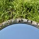 Old large oval wall mirror in silver painted wood - 1950s