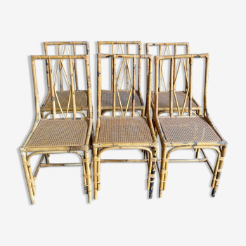 Set of 6 rattan chairs with cannate seats