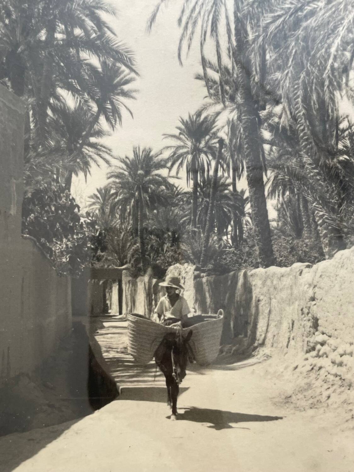 Old photograph, silver print, Morocco, 1950