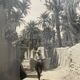Old photograph, silver print, Morocco, 1950