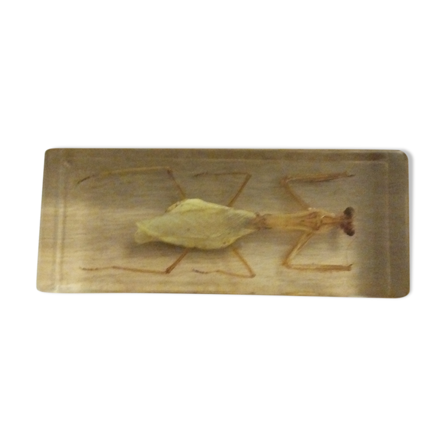 Resin block religious mantha