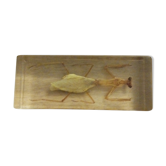 Manthe religieuse en bloc resine