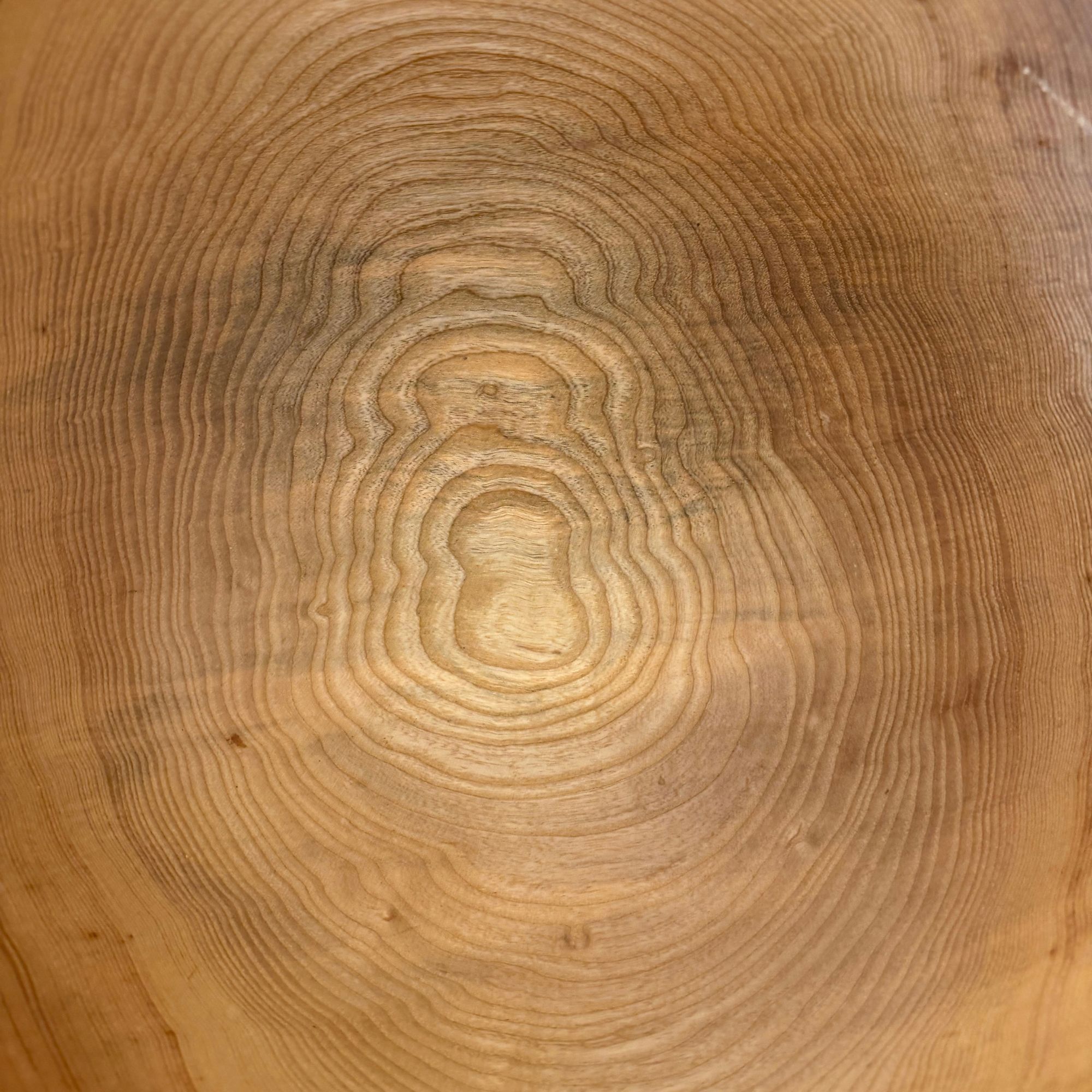 Deep cut in ash by Ralph Ribour