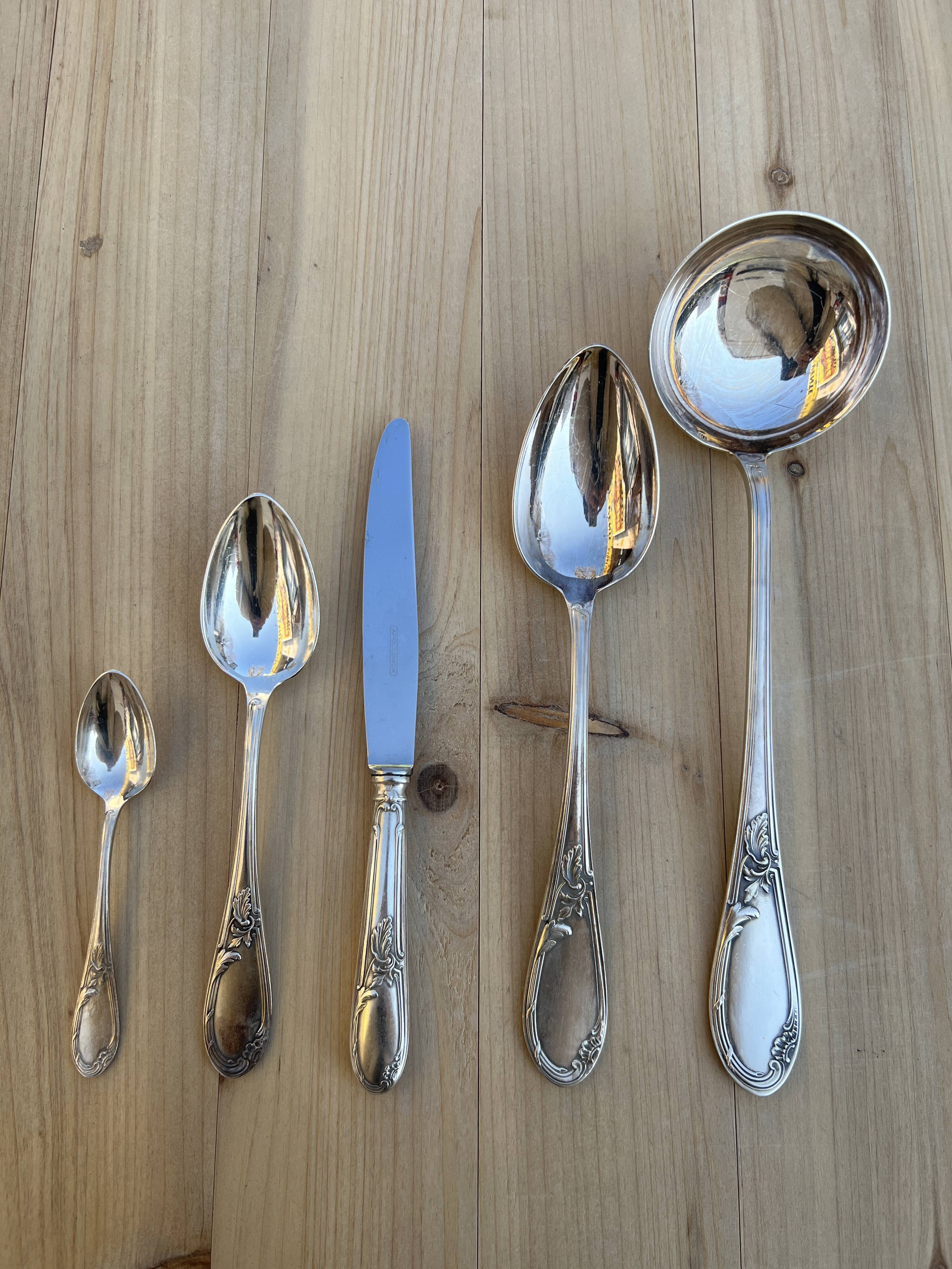 Housewife of cutlery apollonox in complete silver metal