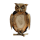 Owl on agate slice