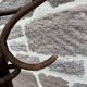 Parrot coat rack