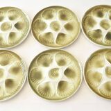 Dish and 6 shell plates