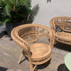 Salon de jardin rotin vintage