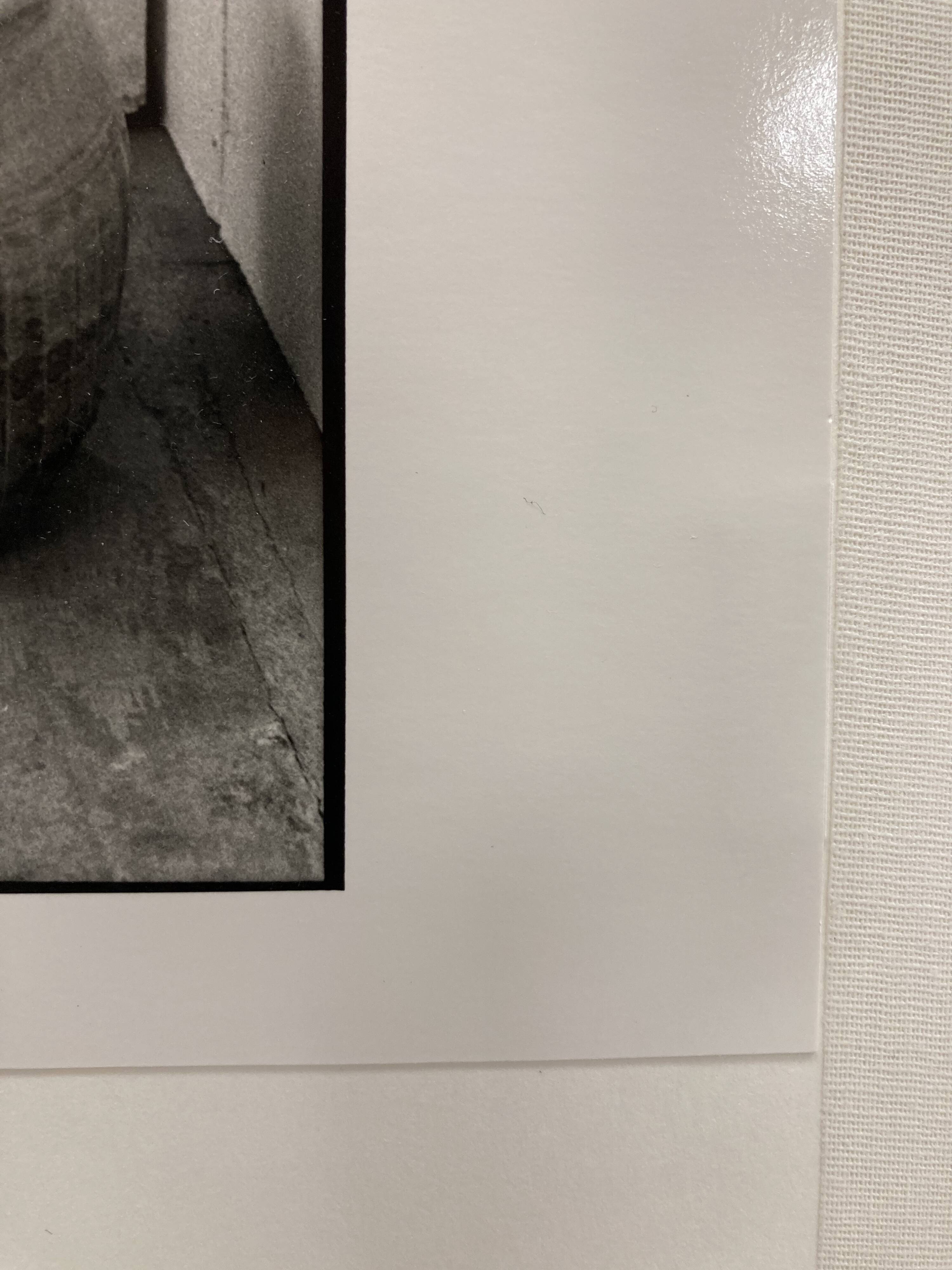 Artist's film photography