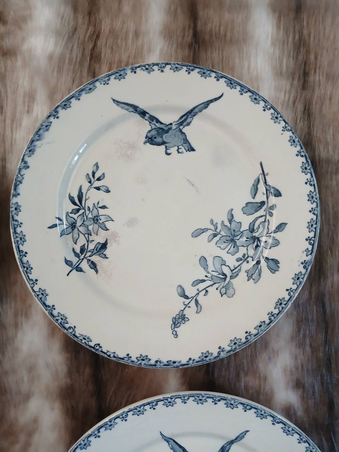 8 antique dessert plates in ironstone