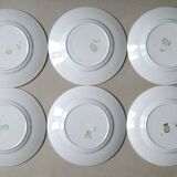 6 flat plates of Saint Amand the waters 30 years