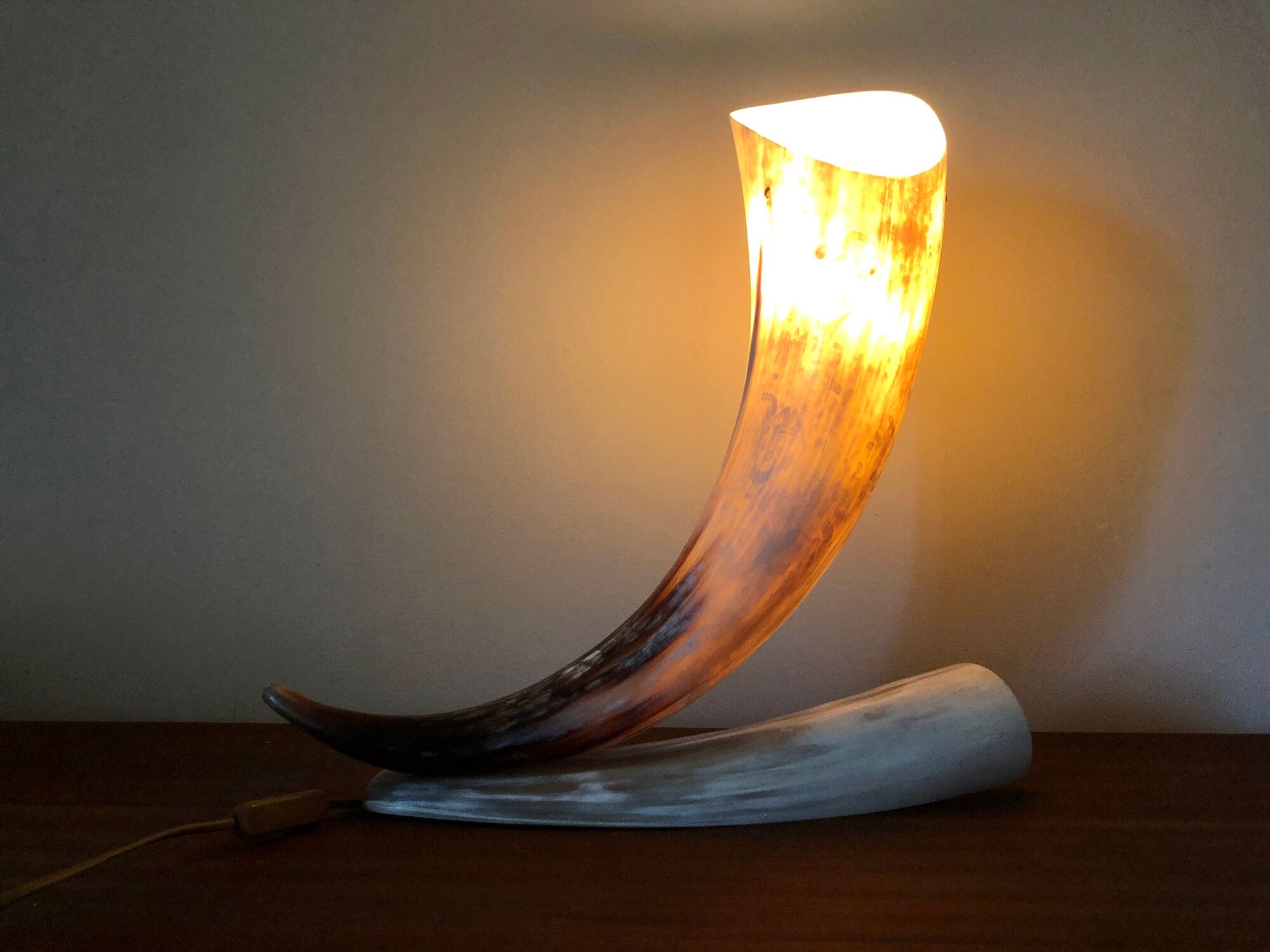 Grande lampe corne
