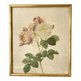 Framed pink botanical board