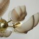 Shell-shaped Murano chandelier