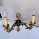 Empire bronze sconces with decorations of swans, palmettes and acanthus leaves