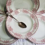 Lot de 6 assiettes à soupe de St amand modèle Champagne, terre de fer