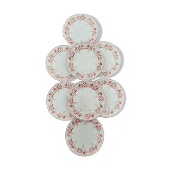8 flat plates Lucien BFK