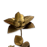 Lamp water lily in golden brass