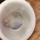 Opaline catch-all tray