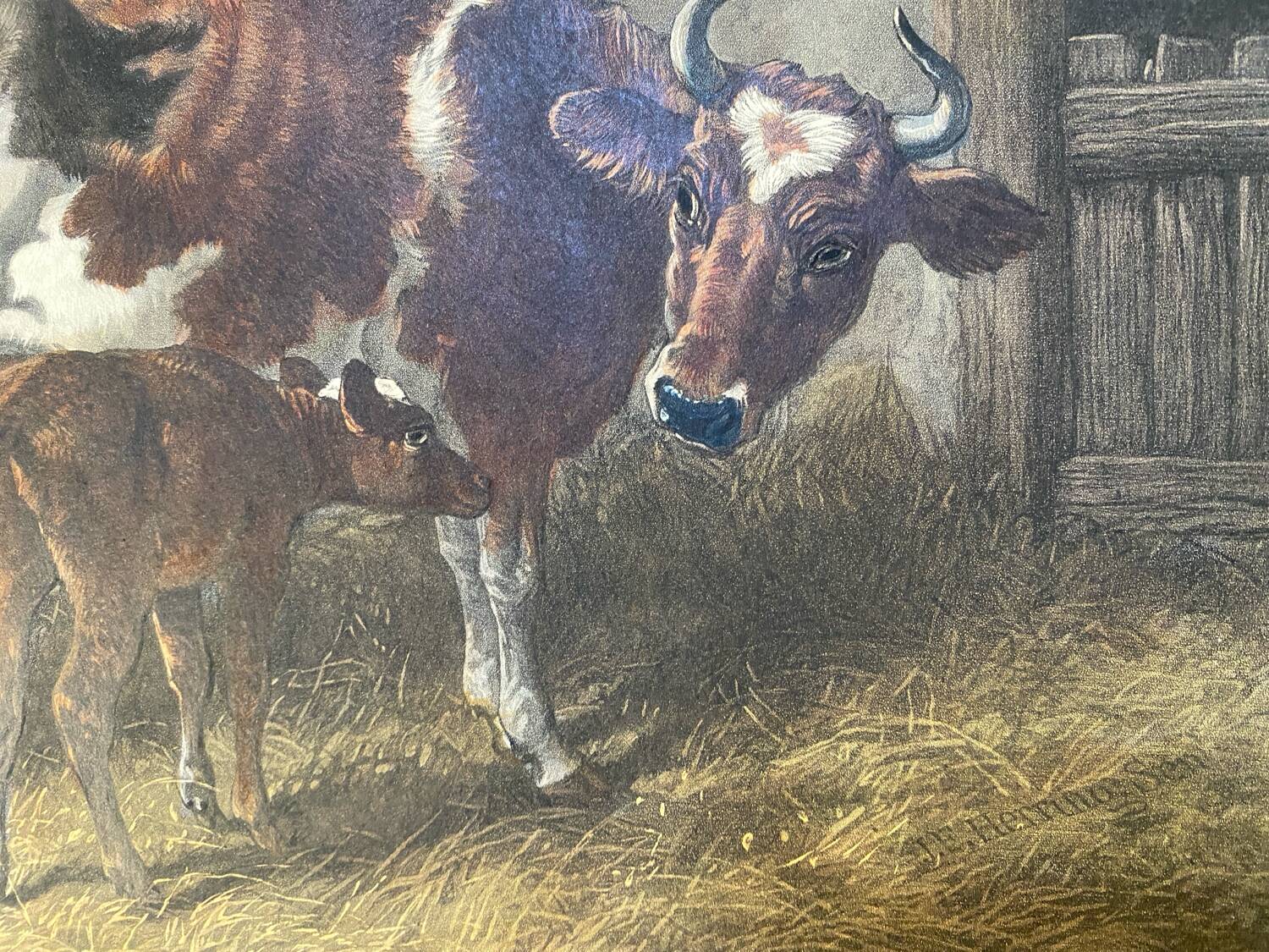 English colored engraving