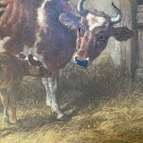 English colored engraving