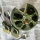 Barbotine-style avocado and 6 avocado spoons Vintage 80 Siléa