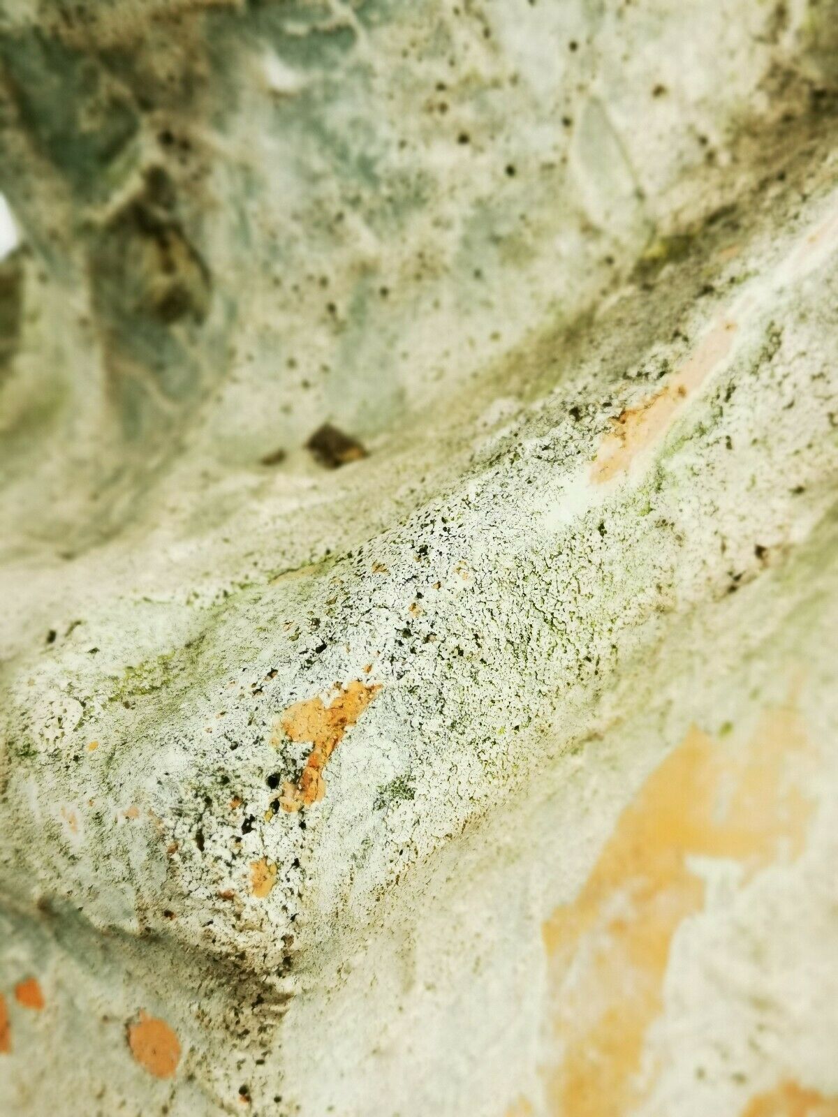 Antique 19th/20th century substantial terracotta Roman Michelangelo David Bust