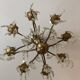 brass and crystal chandelier