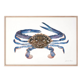"Élisa", l'étrille, art print 21/29,7 cm