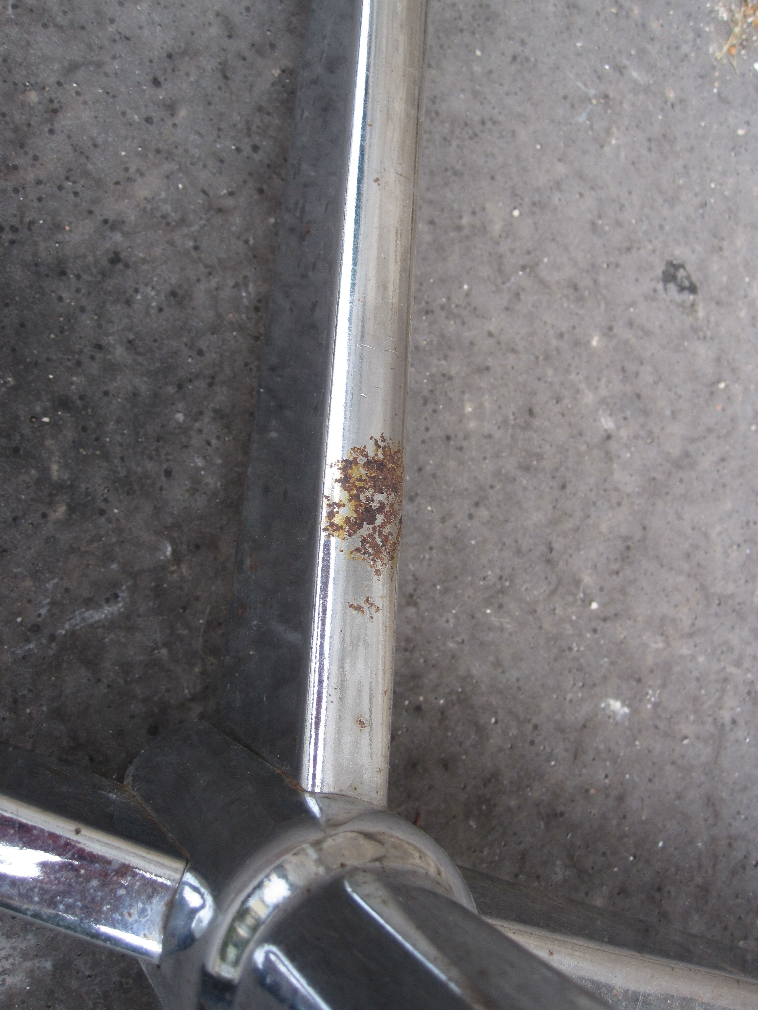 Coatrack chromed metal parrot