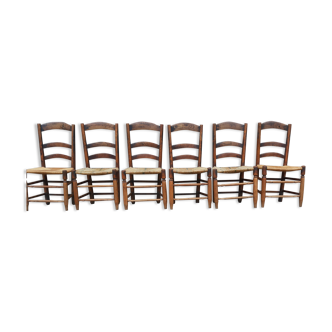 Set of 6 antique chairs