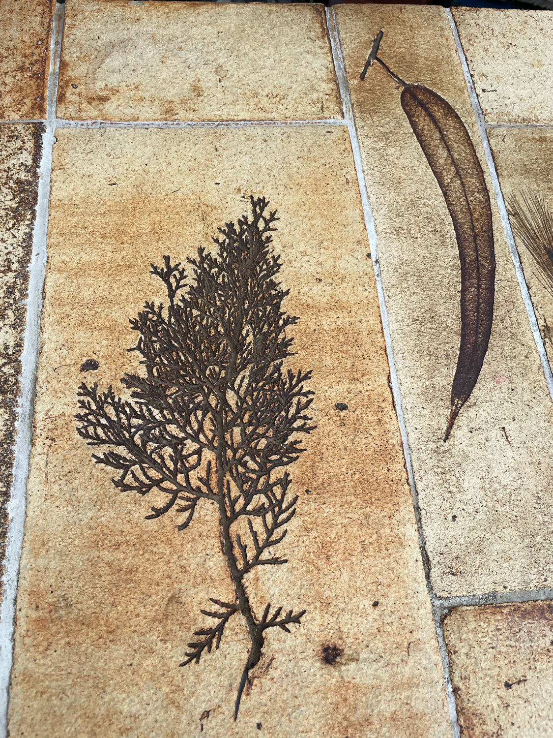 Vintage Vallauris ceramic coffee table Design Roger Capron