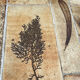 Table basse céramique vallauris vintage Design Roger Capron
