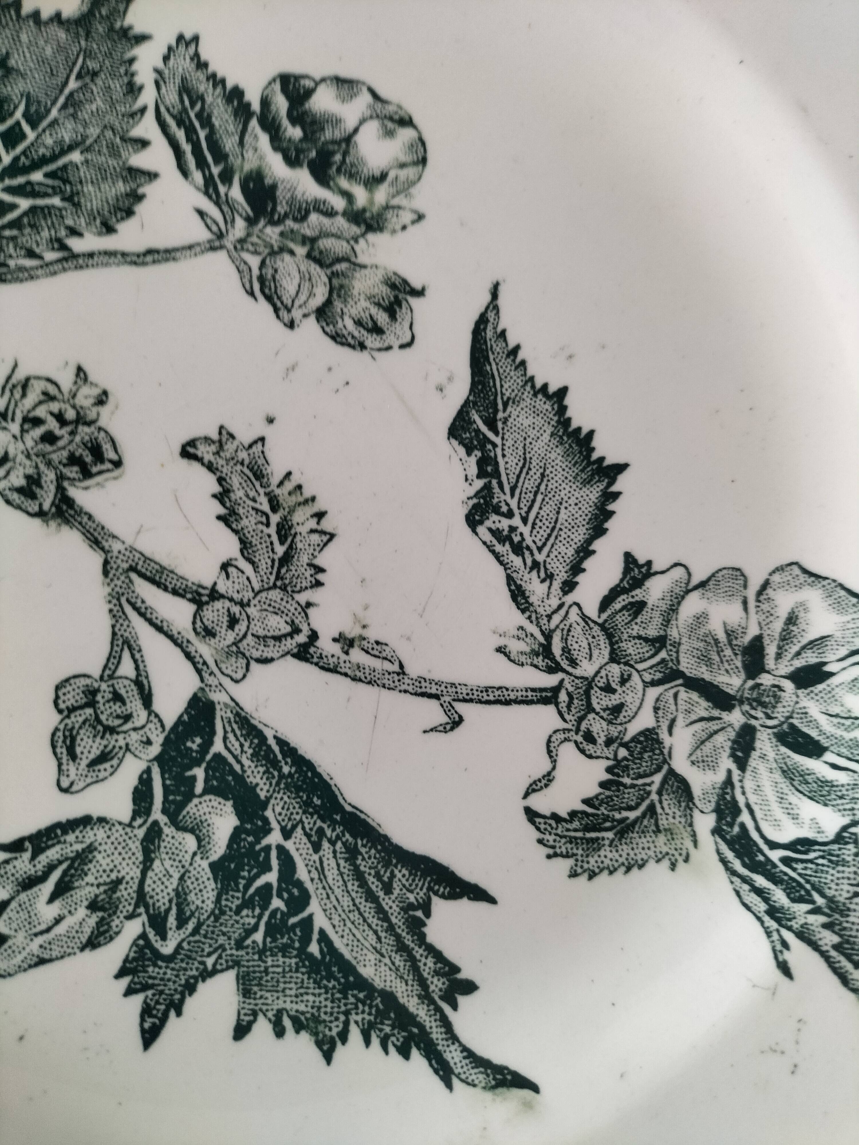 4 ironstone plates A. Lebacqz & M. Bouchart Richelieu model